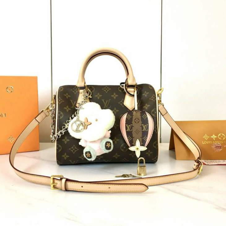 Picture of Louis Vuitton Handbags _SKUfw192060882fw